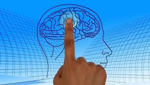 Brexit van die brein