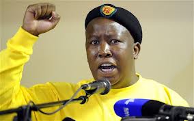 Juilus Malema1