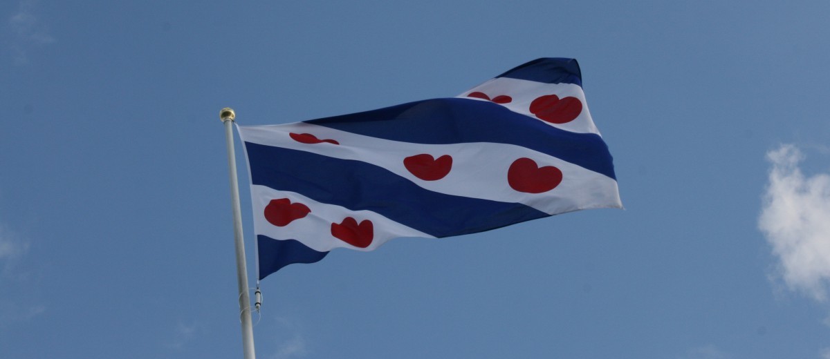 de friese vlag