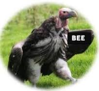 BEE die aasvoelbenadering