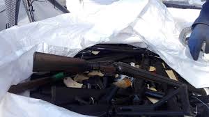 Ban Guns for private citizens