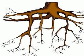 Jou afkoms en oorsprong