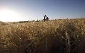 Voedsel tekort wie is skuldig