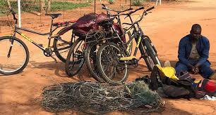 Wild met draadstrikke gevang